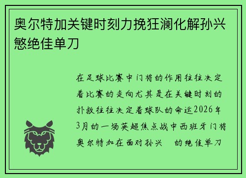 奥尔特加关键时刻力挽狂澜化解孙兴慜绝佳单刀